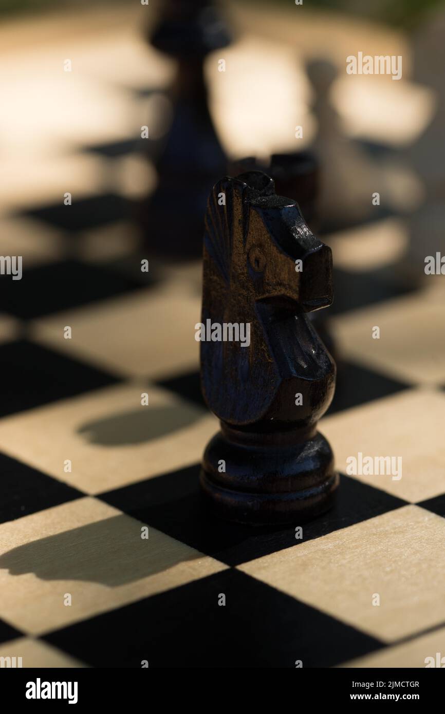 Juego de ajedrez, piezas de madera, tiro al aire libre, poca profundidad de campo Foto de stock