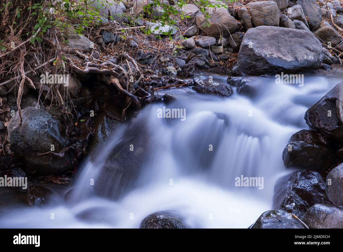 Corriente de agua pura con flujo suave sobre el terreno montañoso rocoso en el bosque de Kakopetria en Troodos, Chipre. Foto de stock