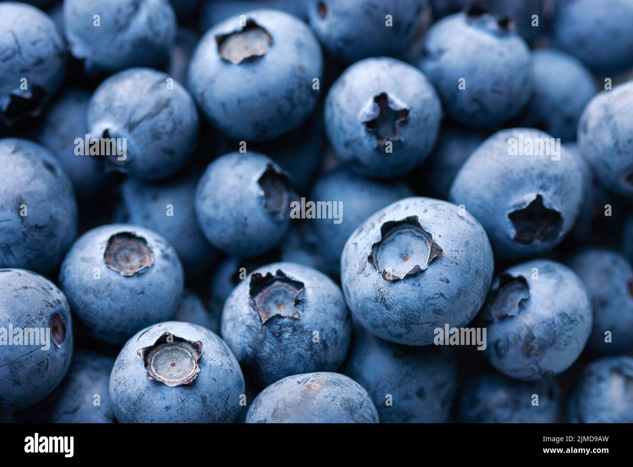 Fondo de comida de arándanos azules maduros, de cerca Foto de stock