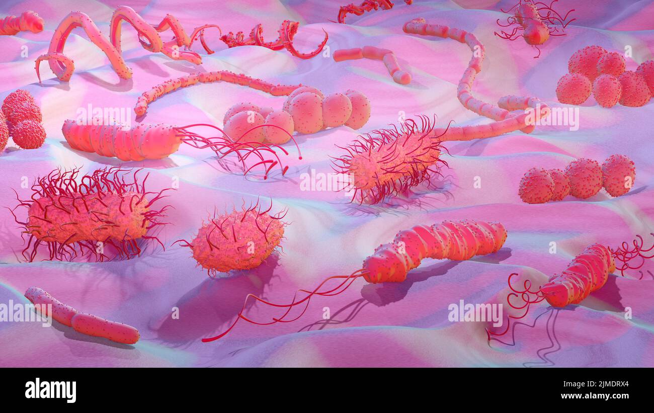 Las bacterias, ilustración Foto de stock