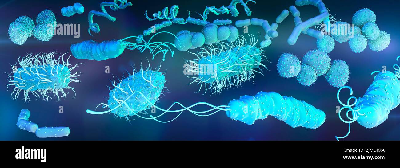 Las bacterias, ilustración Foto de stock