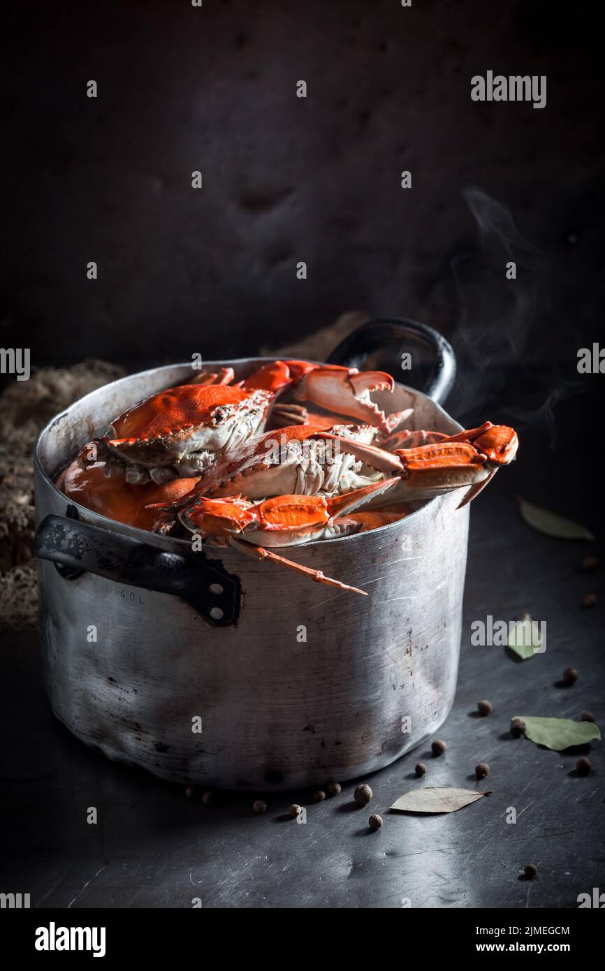 Ingredientes para cangrejos rojos frescos con hoja de laurel y pimienta