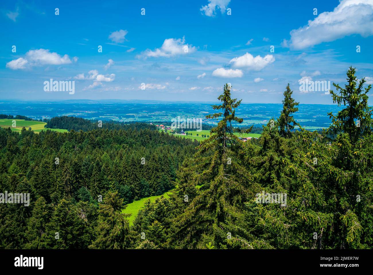 Alemania, vista panorámica sobre las copas de los árboles del bosque y el paisaje verde de la naturaleza del paraíso del senderismo Allgäu Foto de stock