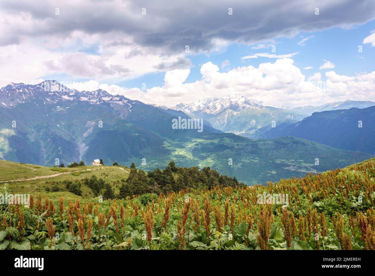 Svaneti, Georgia paisaje en el día de verano. Vista de la cordillera del Cáucaso cerca de Mestia Foto de stock