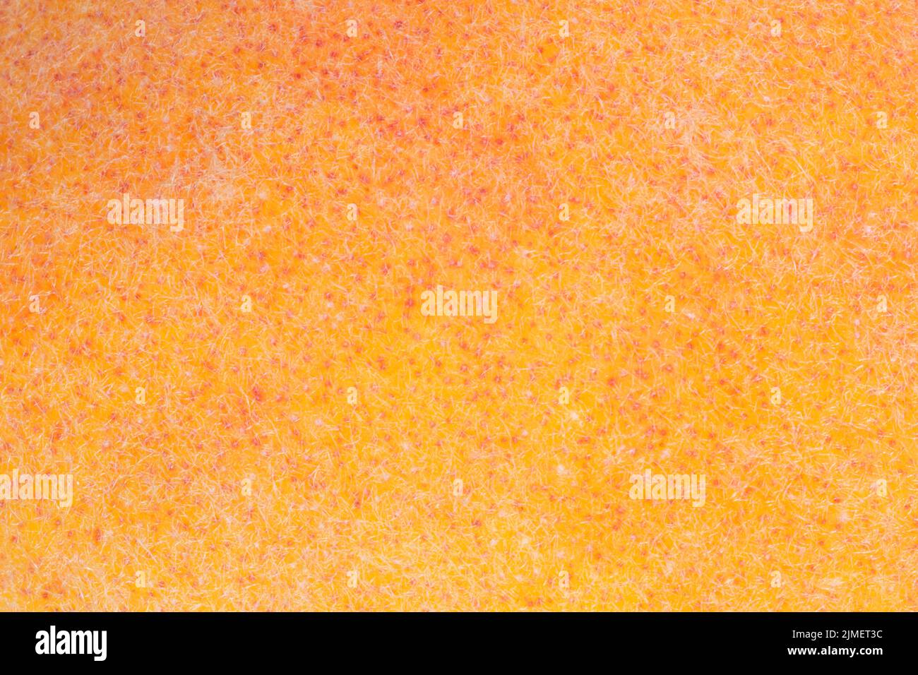 fondo natural abstracto: primer plano de textura melocotón maduro Foto de stock
