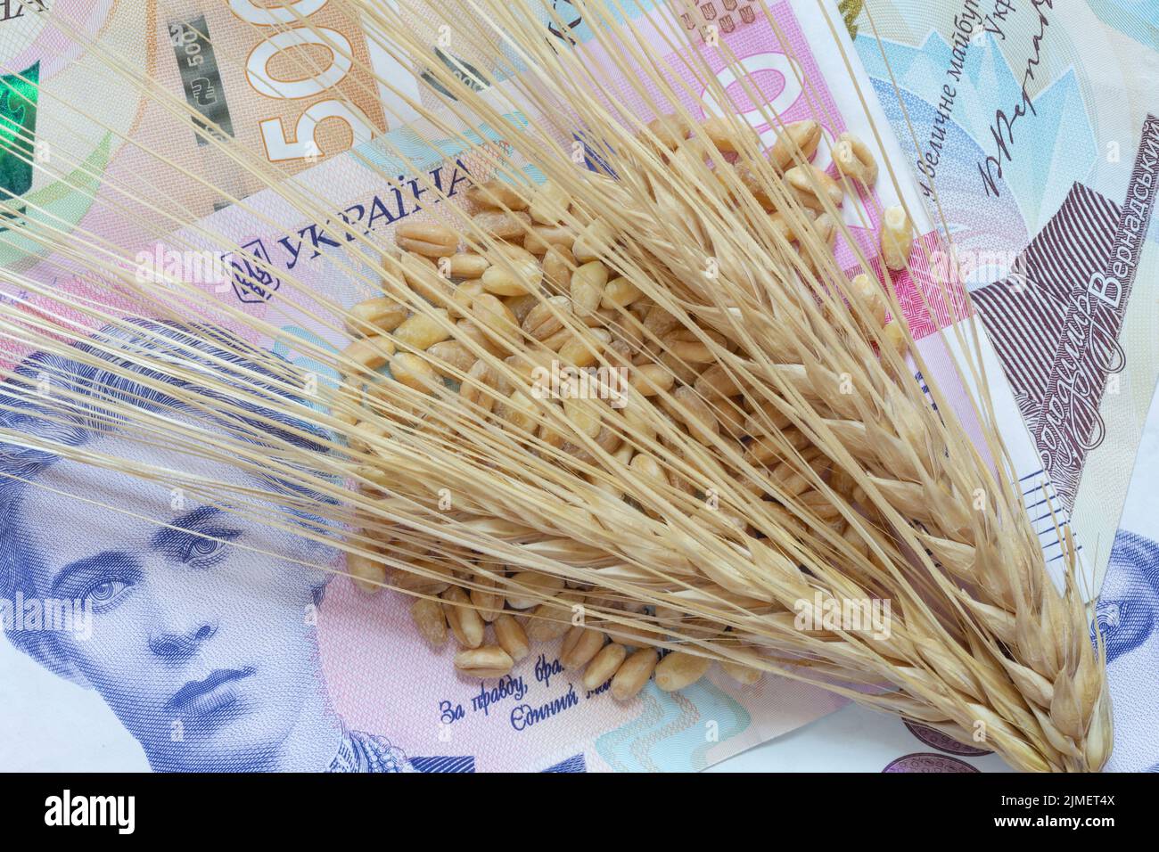 Mazorcas de cebada y granos de trigo en varios billetes ucranianos hrivnya Foto de stock