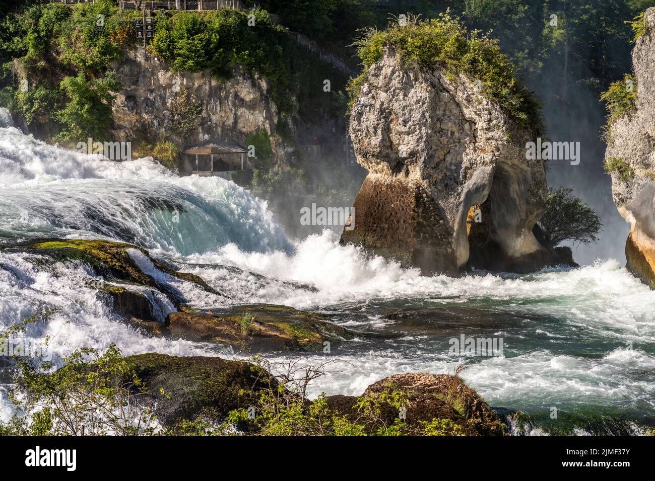 Wasserfall Rheinfall bei Neuhausen am Rheinfall, Schweiz, Europa | Cataratas del Rin, Neuhausen am Rheinfall, Suiza, Europa Foto de stock