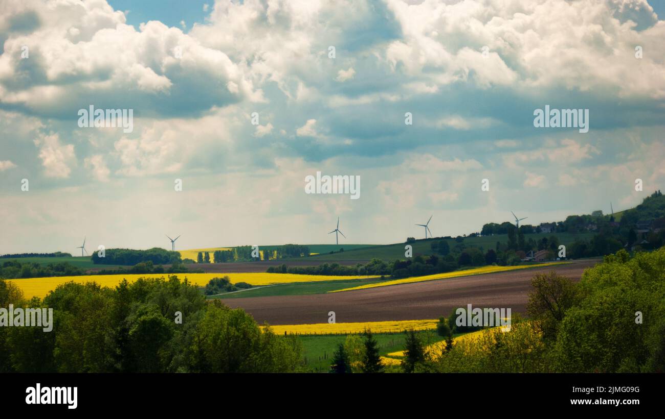 Molinos eléctricos bajo el cielo nublado de la tarde en los campos de canola primavera Foto de stock