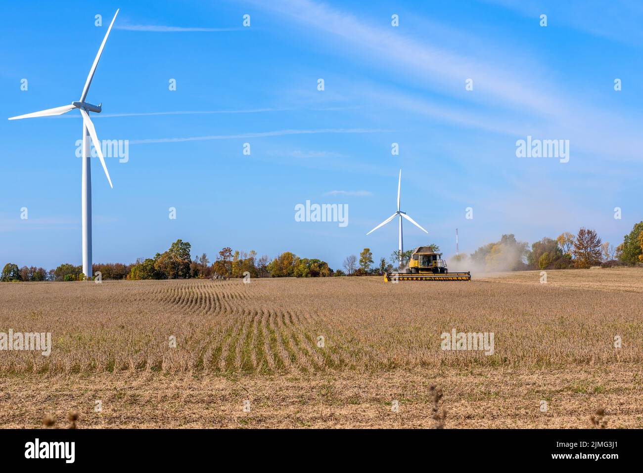 Cosechadora en un campo de trigo, al que pasan por alto turbinas eólicas altas en un día de otoño despejado Foto de stock