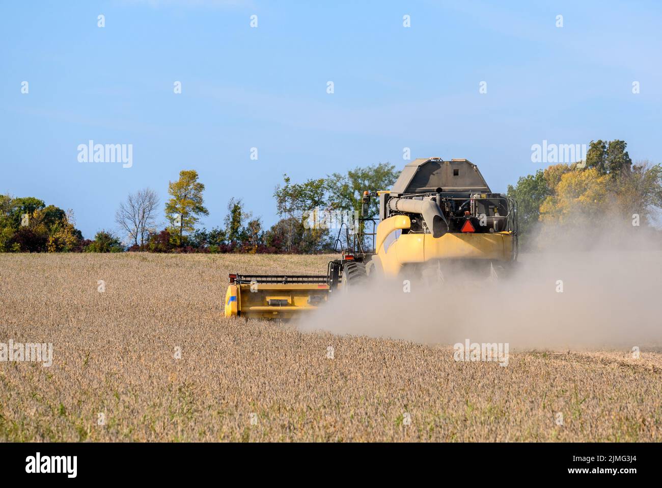 Vista posterior de una cosechadora en un campo de trigo bajo el cielo azul en otoño. Foto de stock
