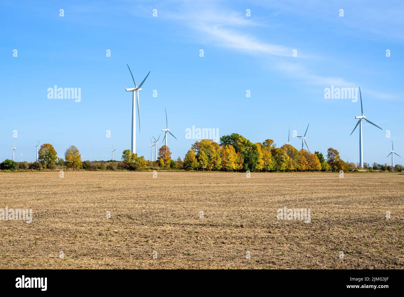 Turbinas eólicas en una tierra rural en un soleado día de otoño Foto de stock