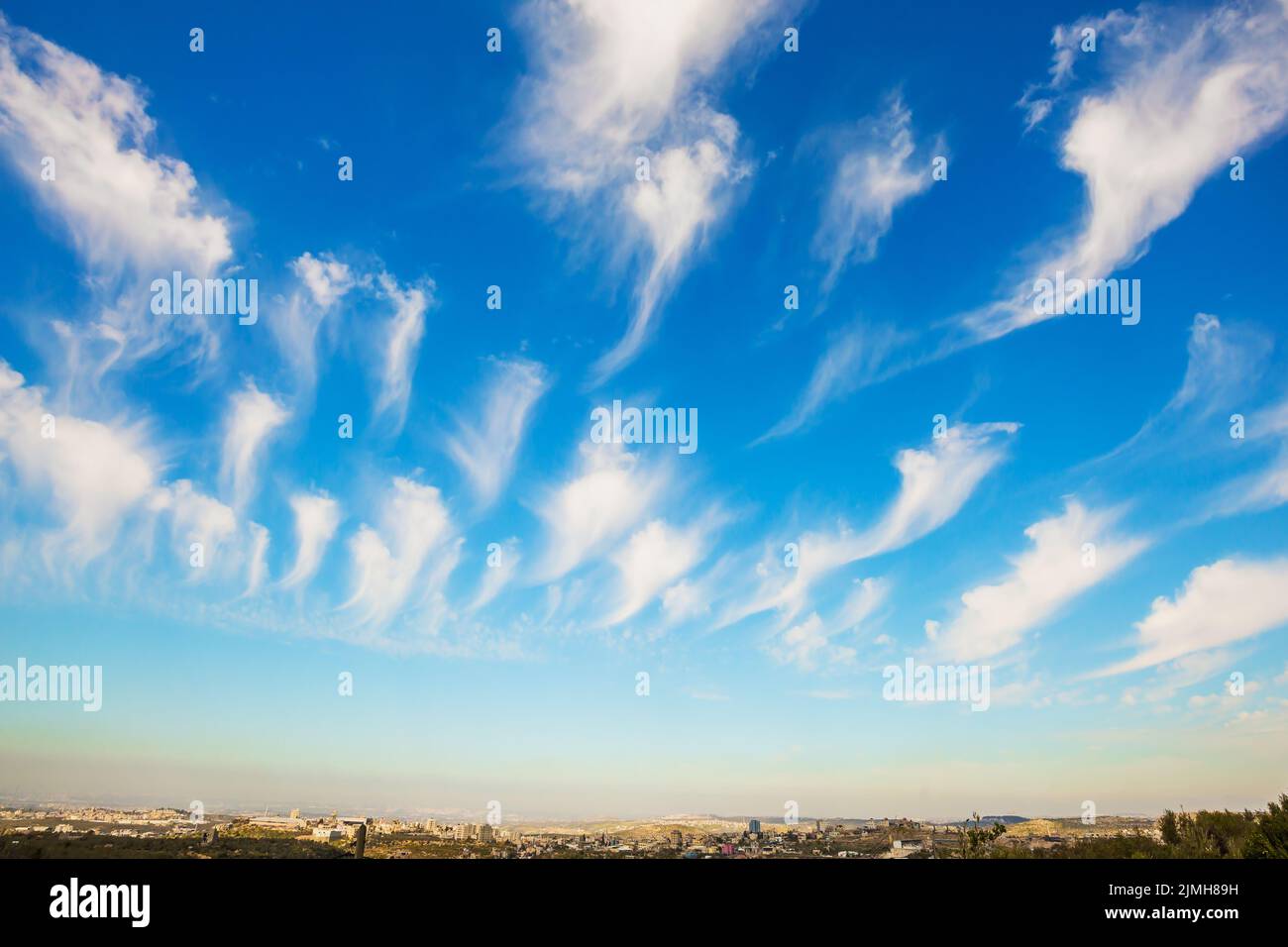 Nubes cirrus volando sobre tierra en flor Foto de stock
