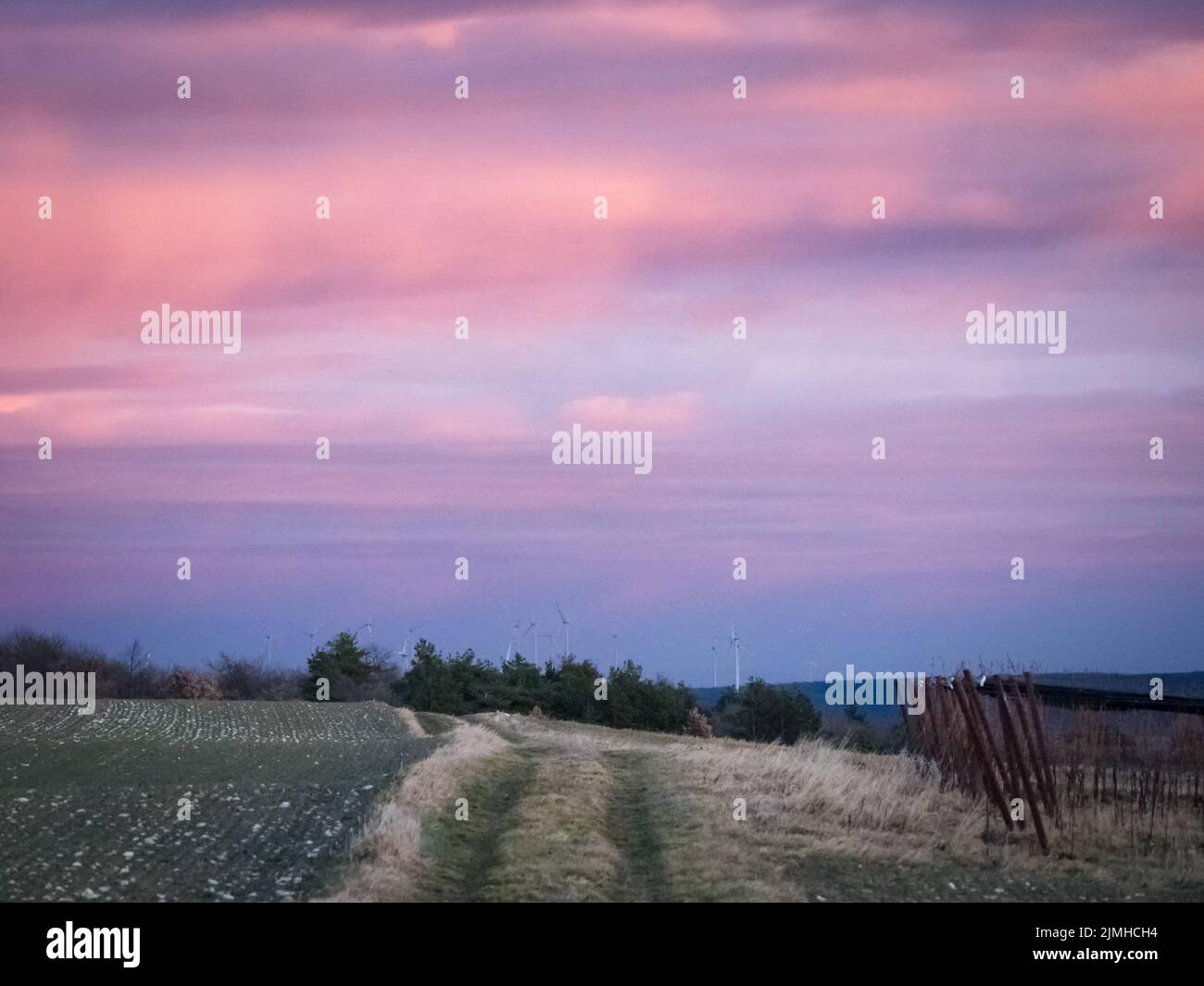 Nubes rosas en un cielo rojo durante el amanecer sobre un prado en el campo Foto de stock