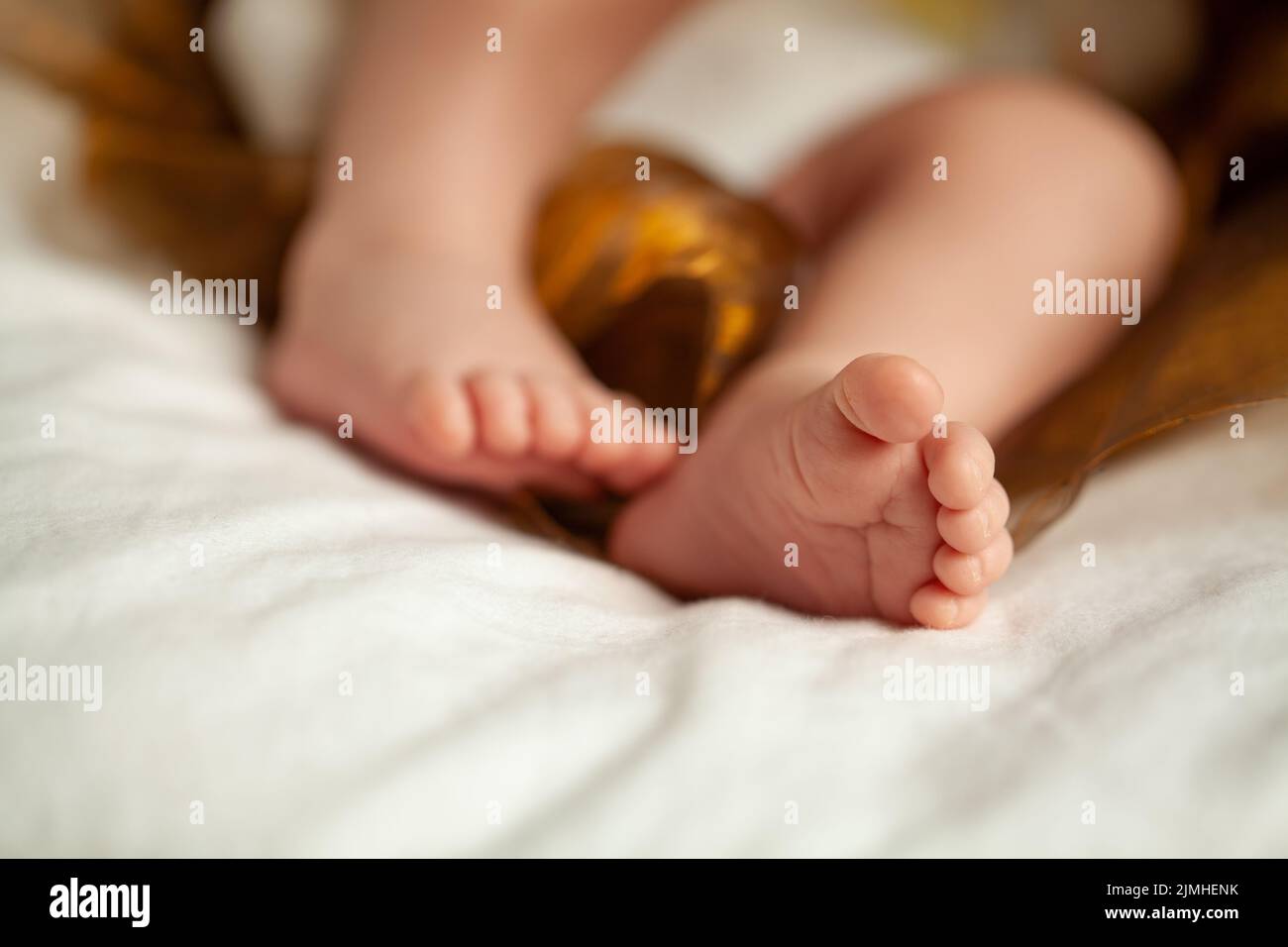 Pies diminutos de niña recién nacida Foto de stock