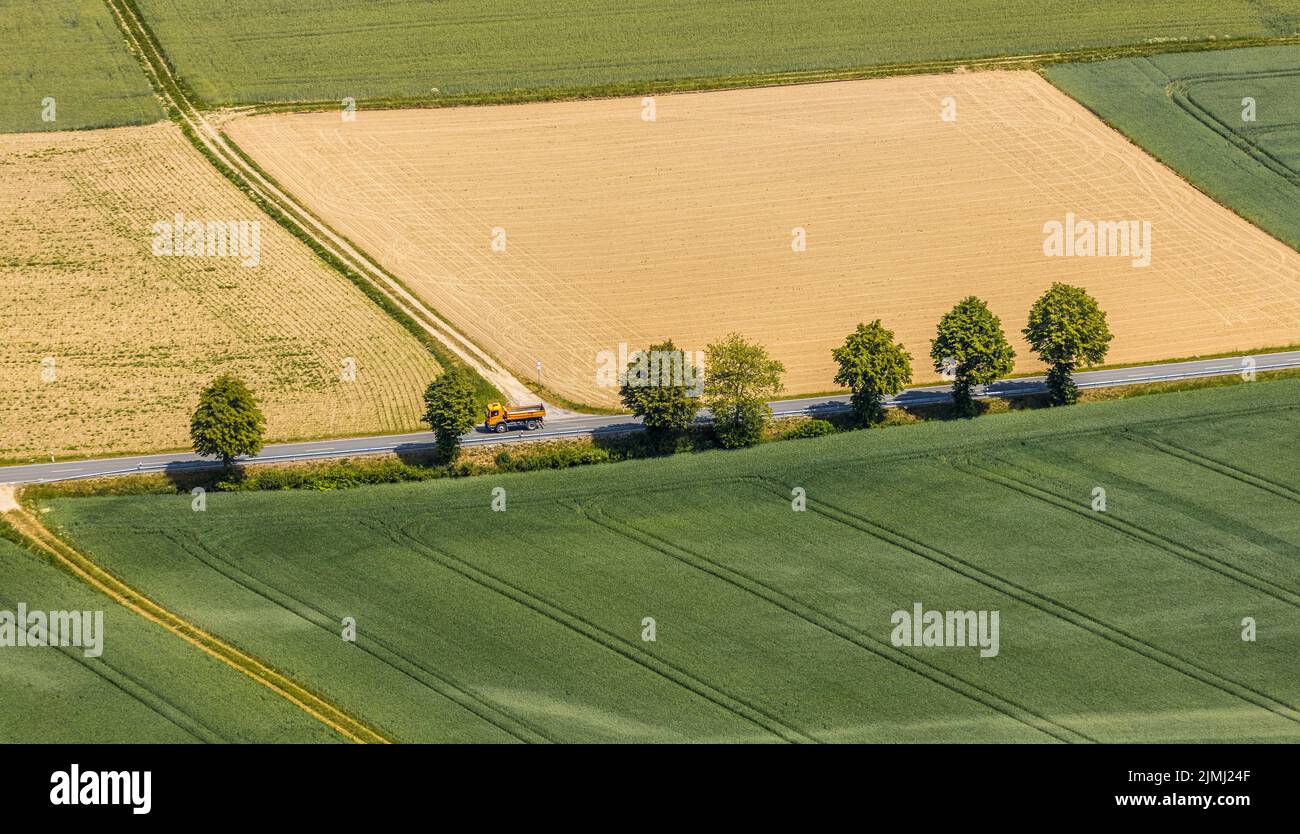 Vista aérea, hilera de árboles en la carretera rural, cerca de Garbeck, Balve, Sauerland, Renania del Norte-Westfalia, Alemania, DE, Europa, árboles verdes, fotografía aérea Foto de stock