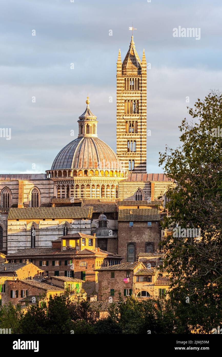 Monumento histórico del Duomo de Siena Foto de stock