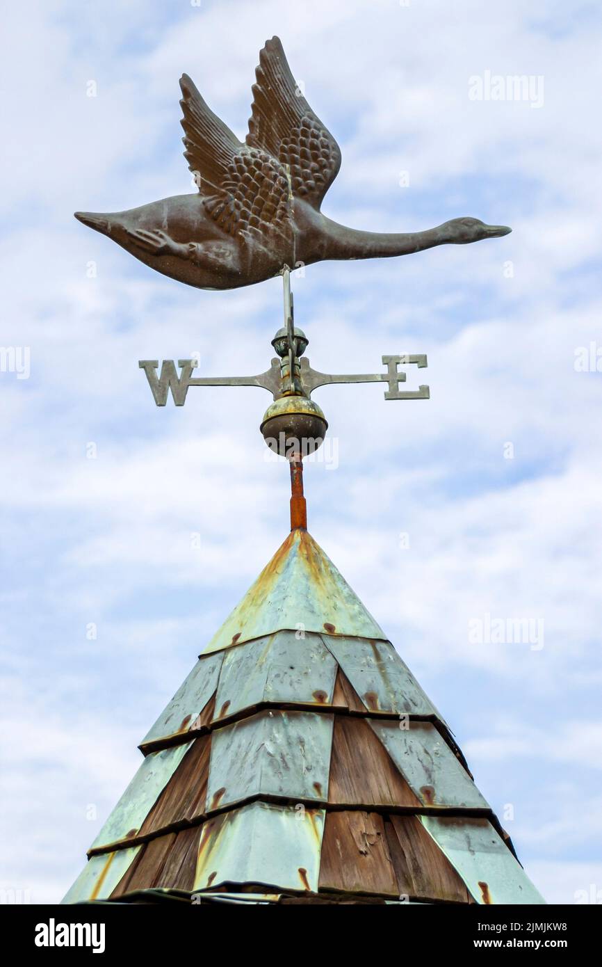 Newport News Virginia, Huntington Park Rose Garden weathervane, dirección del viento clima cisne ganso, puntos de referencia escena en una foto Foto de stock