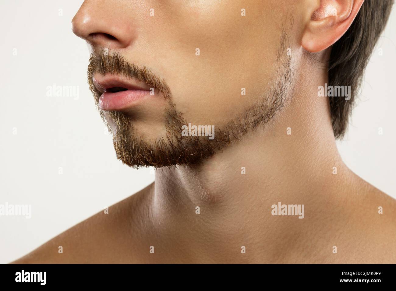 Hombre joven con barba de estilo latino Foto de stock