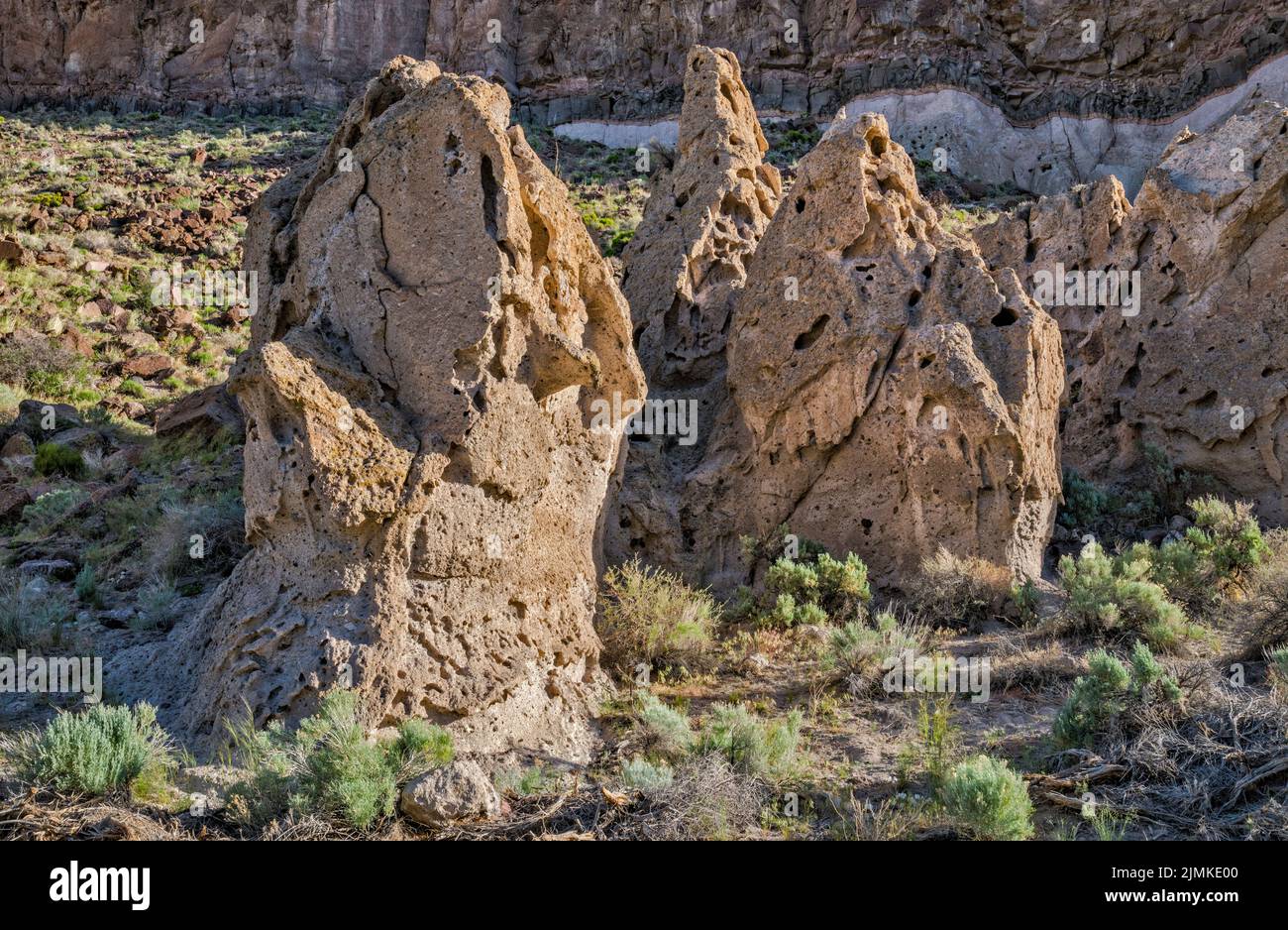 Formaciones de roca volcánica de toba, Echo Canyon State Park, cerca de Pioche, Nevada, EE.UU Foto de stock