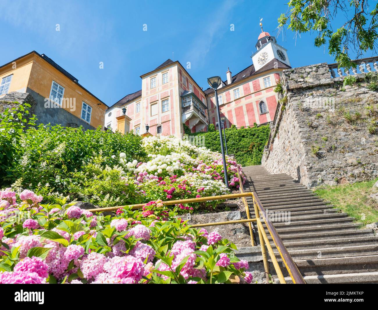 Flores de Hydrangea en el jardín del castillo de Jansky. Ciudad de Javornik, República Checa Foto de stock