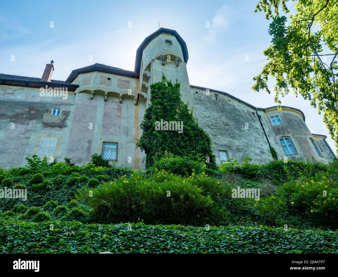 El edificio residencial del castillo creció hiedra del jardín. Castillo de la colina Jansky y el cielo vibrante agradable al atardecer. Javornik, República Checa Foto de stock