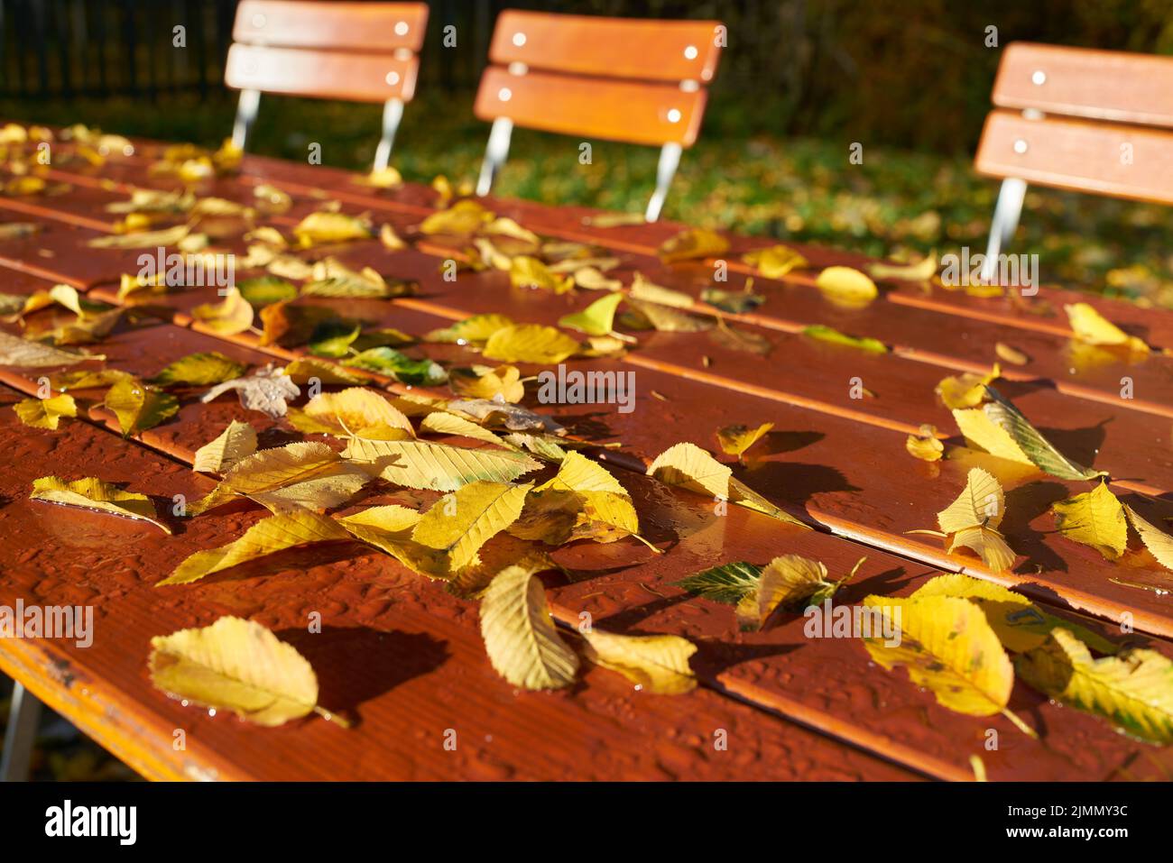 Mesas y sillas vacías en un jardín de cerveza en Alemania durante la pandemia de Corona Foto de stock
