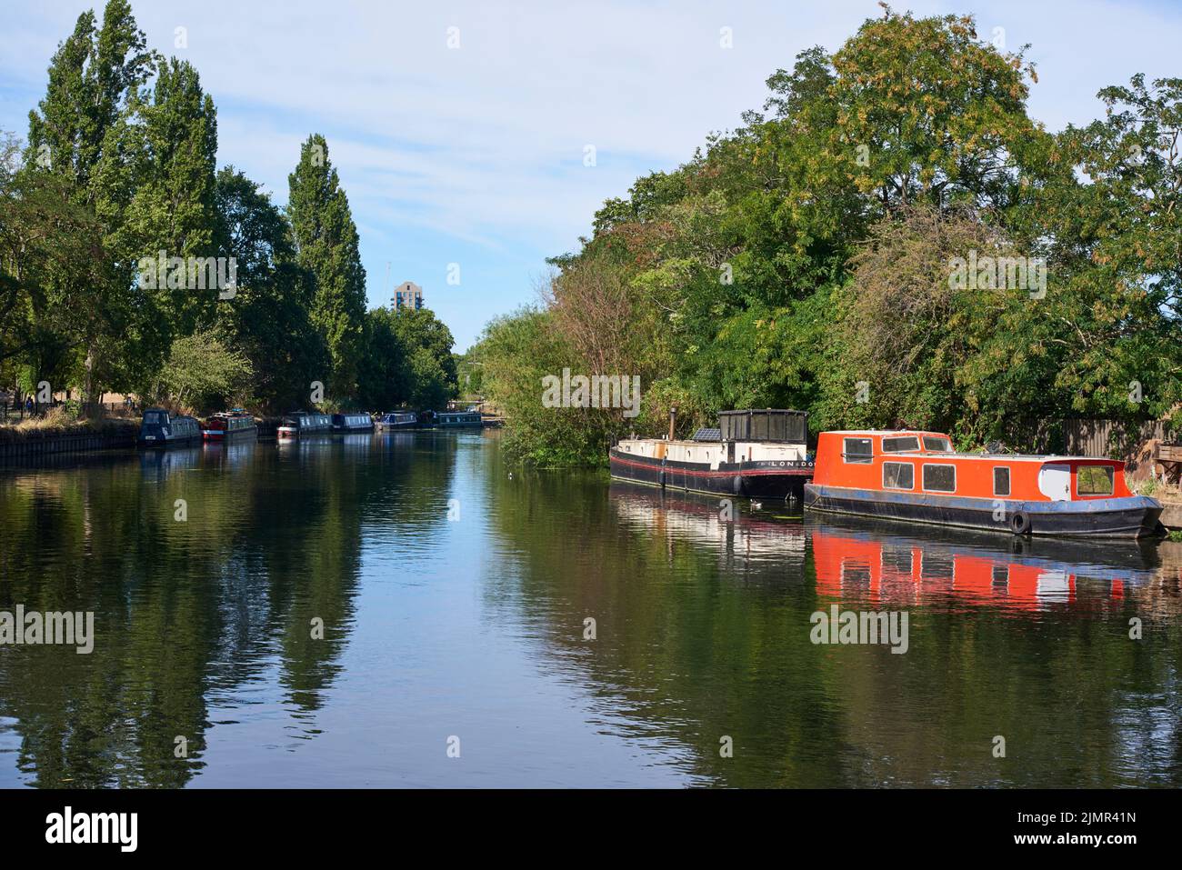 El río Lea cerca de Markfield Park, South Tottenham, Londres, Reino Unido, en verano Foto de stock