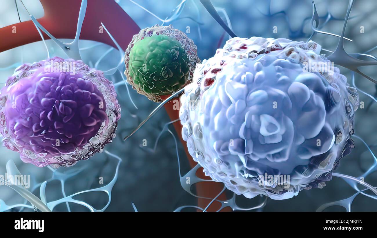 Un linfocito es un tipo de glóbulo blanco en el sistema inmunitario de la mayoría de los vertebrados. Ilustración 3D Foto de stock