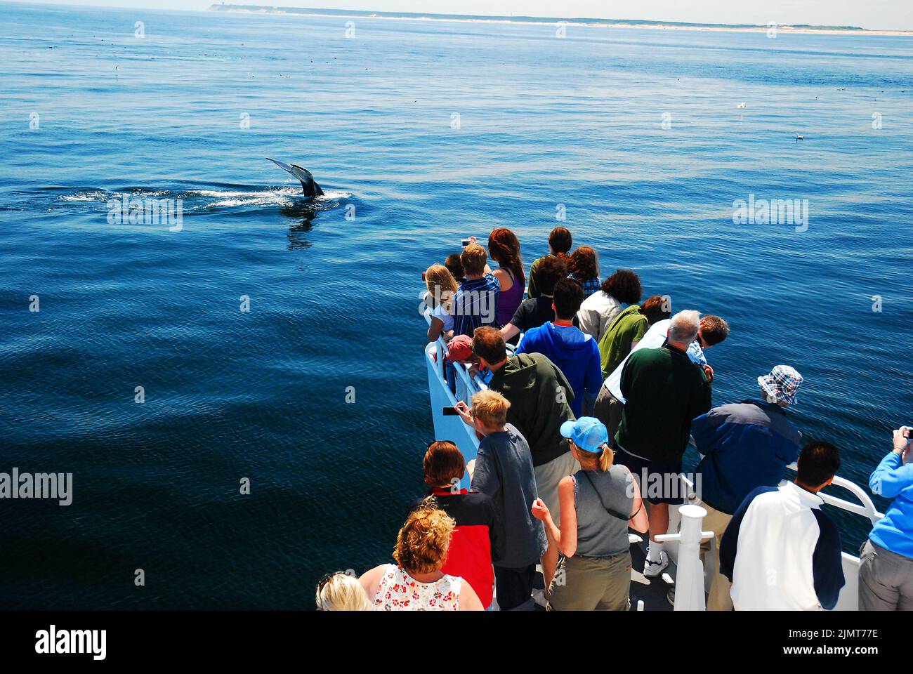 Observadores de ballenas Foto de stock