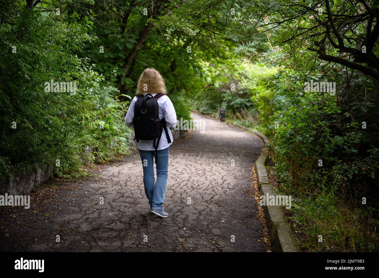 Una mujer viajera camina en el bosque. El caminante solitario de la muchacha está solo en la trayectoria en maderas oscuras. Joven y vuelta de carretera en los árboles túnel en el parque. Concepto Foto de stock