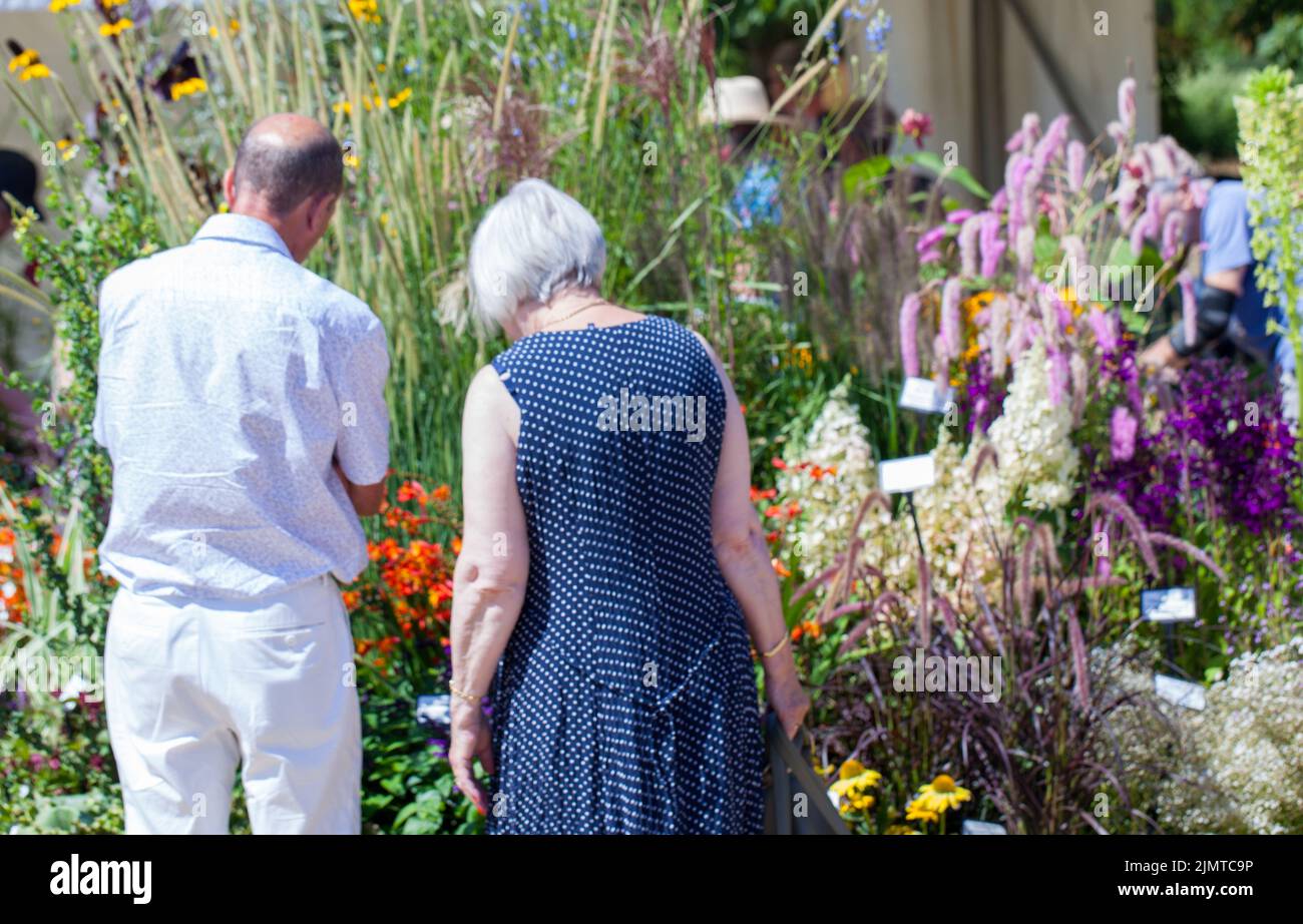 Vista trasera de dos visitantes de verano cerca de uno de los puestos de exhibición en RHS Flower Show , Rettendon, Chelmsford, Essex, Gran Bretaña. Agosto 2022 Foto de stock