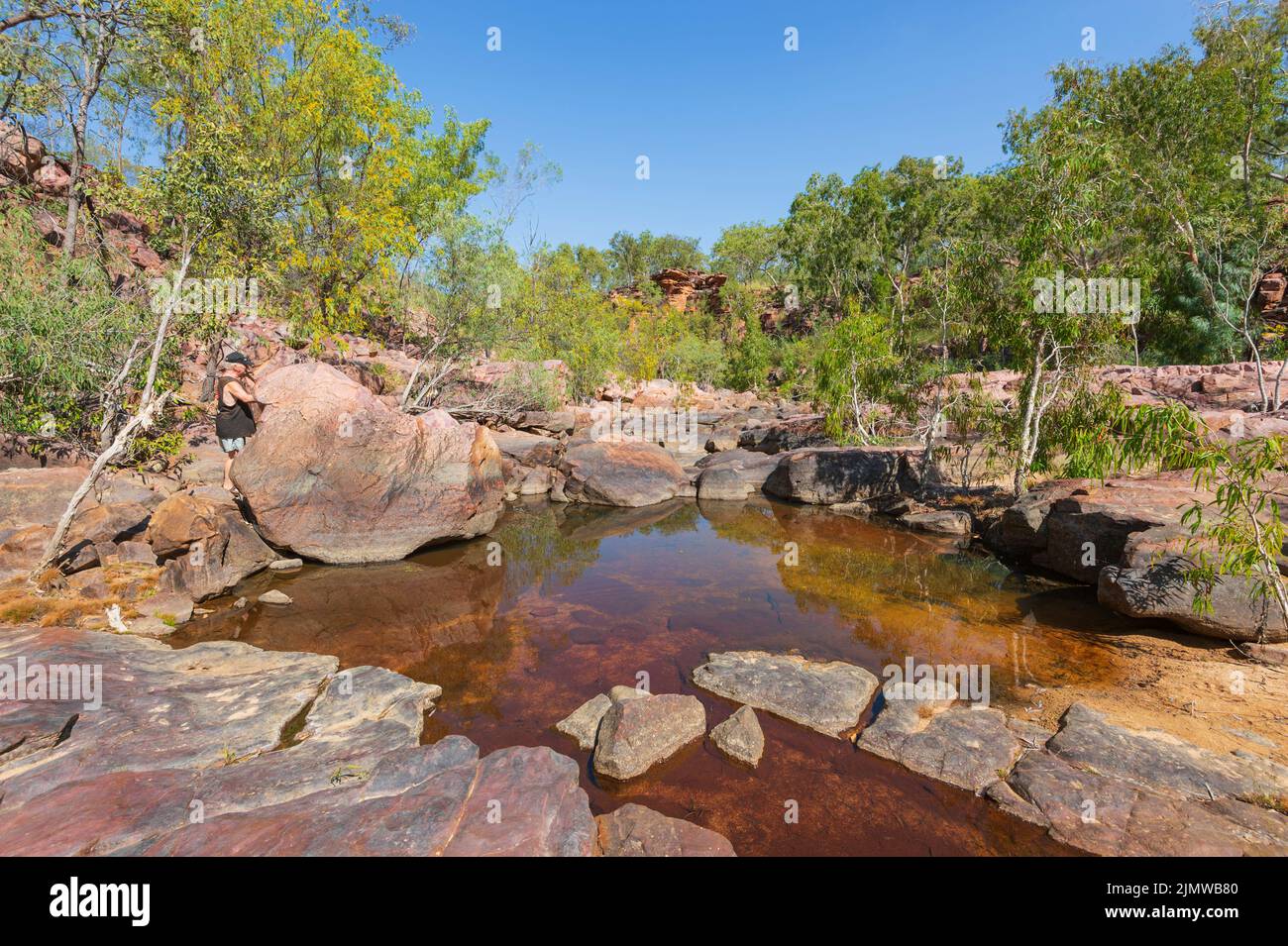 Piscina de roca con agua manchada de taninos en el Parque Natural de la Garganta de Umbrawarra, Territorio del Norte, Territorio del Norte, Australia Foto de stock