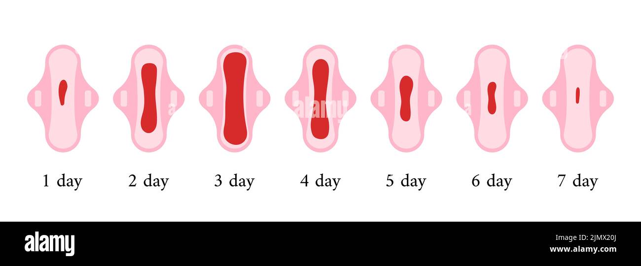 Período Menstrual Sangre En El Conjunto De Compresas Sanitarias Dependiendo Del Día Del Ciclo 6825