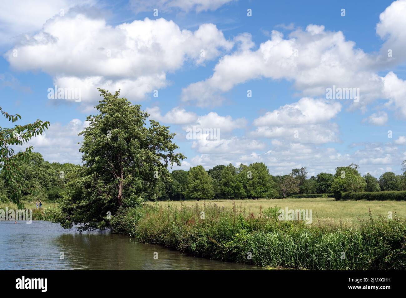 BARCOMBE, EAST SUSSEX, Reino Unido - 26 DE JUNIO de 2022 : Caminar y nadar a lo largo del río Ouse en Barcombe en un día de verano. Tres uniden Foto de stock
