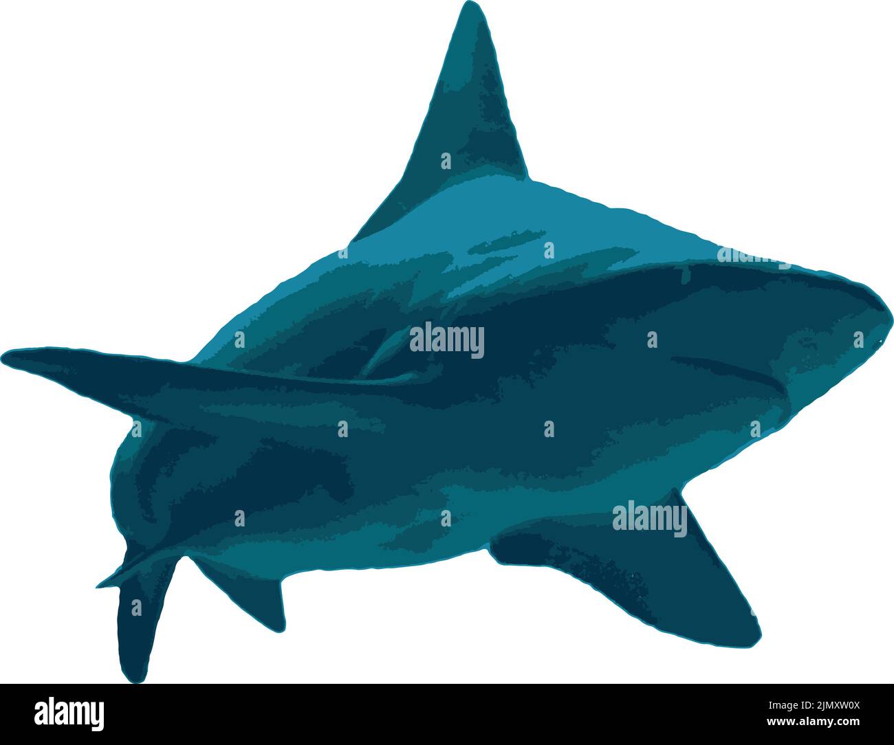 Silueta de tiburón Ilustración del Vector