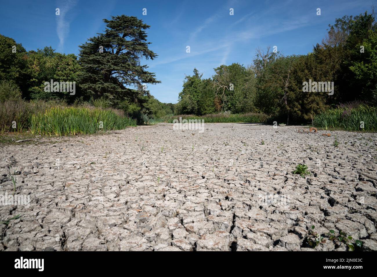 Un lago seco en Wanstead Park, al noreste de Londres hoy. Gran Bretaña está preparada para otra ola de calor que durará más que el período de calor récord de julio, con máximos de hasta 35C que se esperan la próxima semana. Fecha de la foto: Lunes 8 de agosto de 2022. Foto de stock