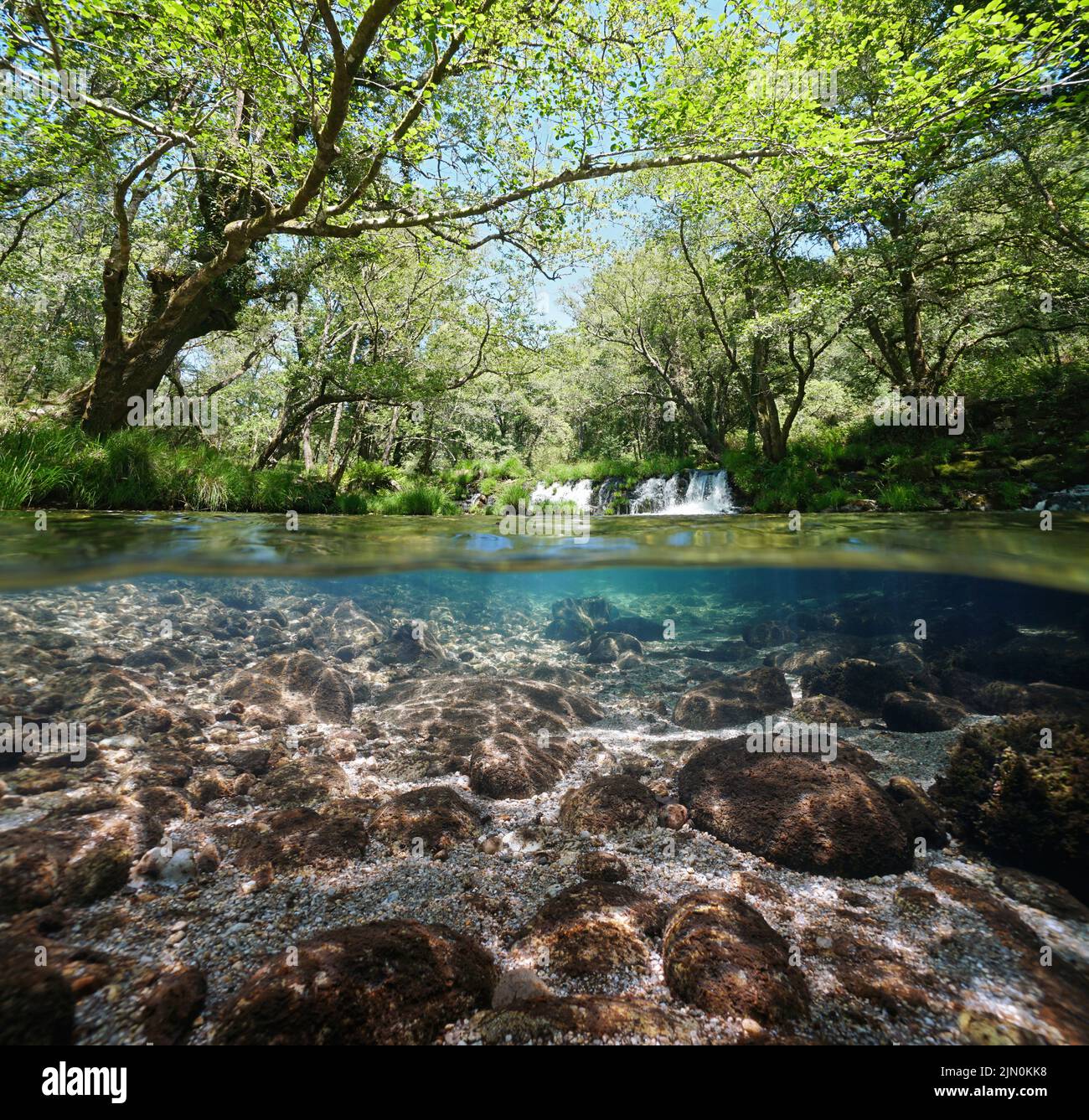 Paisaje fluvial sobre y bajo la superficie del agua, pequeña cascada y árboles follaje, vista a dos niveles , España, Galicia, Río Verdugo Foto de stock