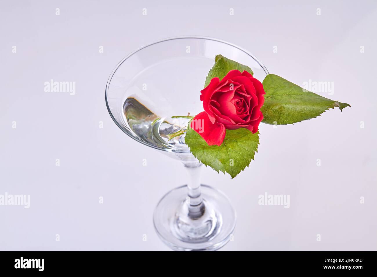 Copa de copa de cóctel con flor de rosa y hojas. Composición romántica del día de San Valentín. Foto de stock