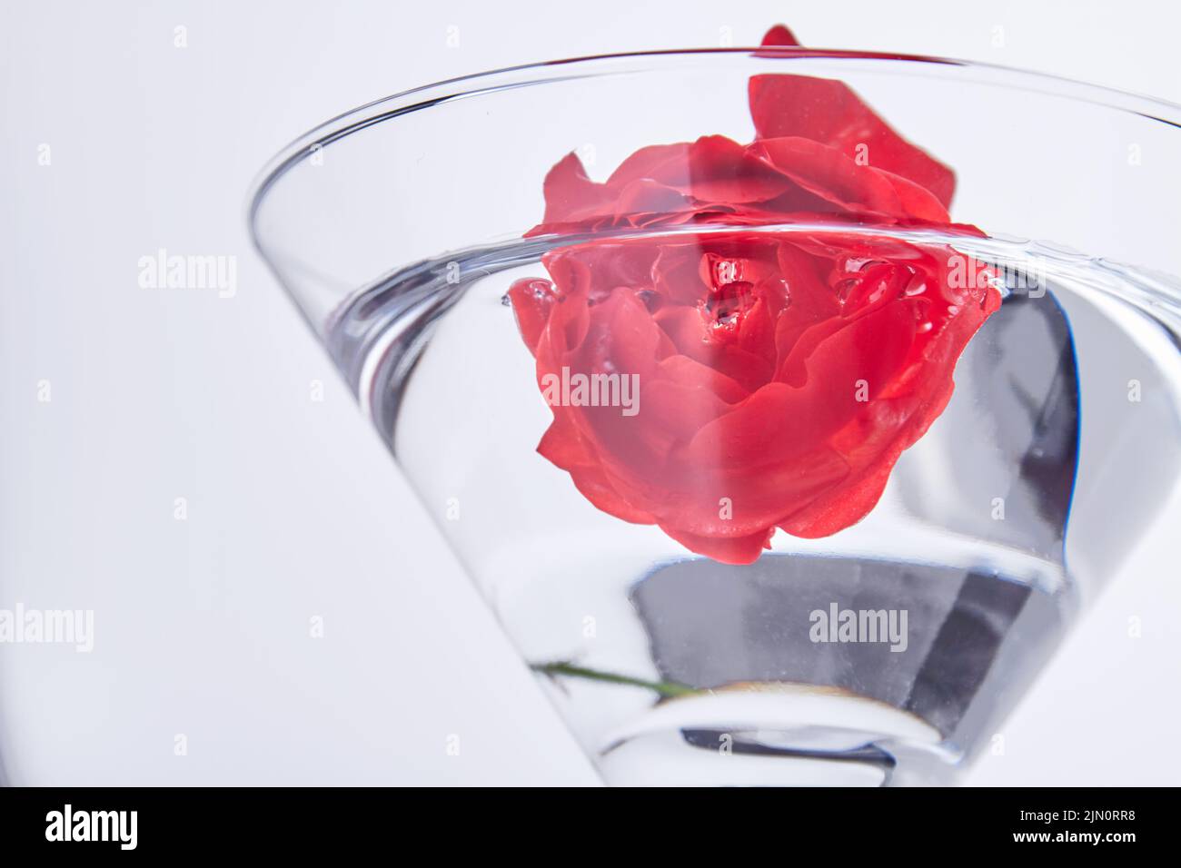 Primer plano flor roja en un agua aislada sobre blanco. Bebida de cóctel transparente. Foto de stock