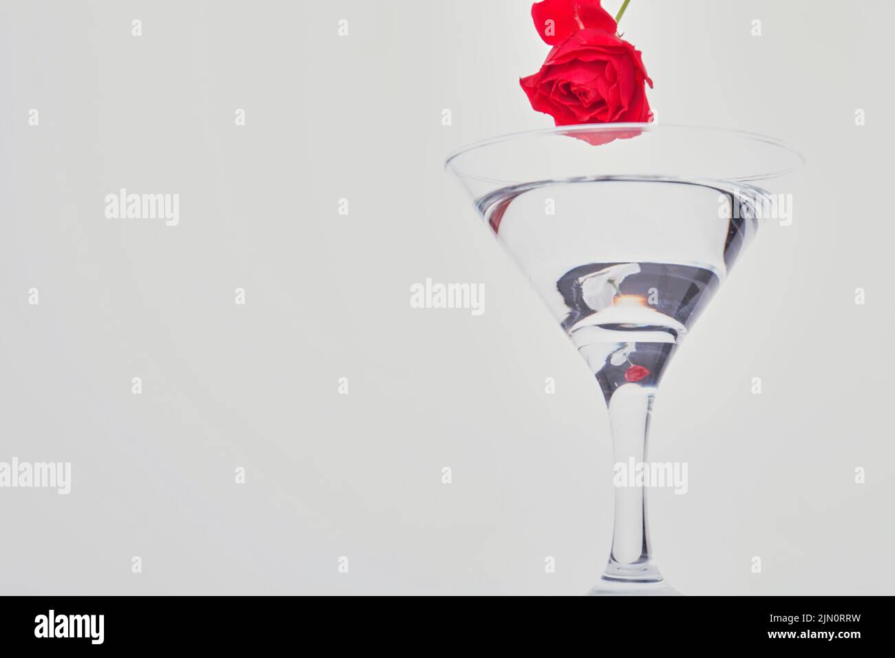Cóctel con flor de rosa sobre fondo blanco. Espacio de copia para texto. Foto de stock