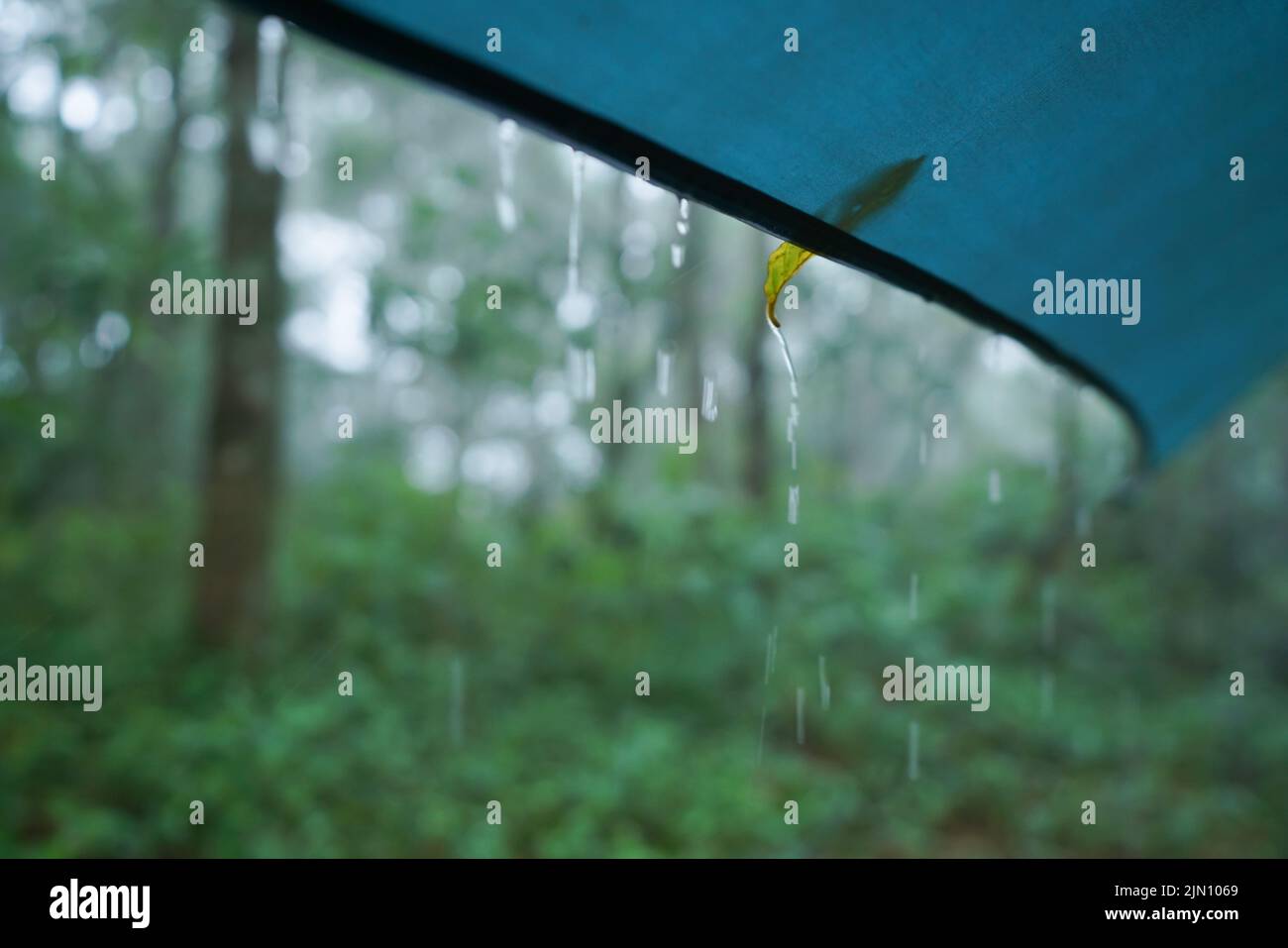 Gotas de lluvia sobre el lienzo de camping en la naturaleza Foto de stock
