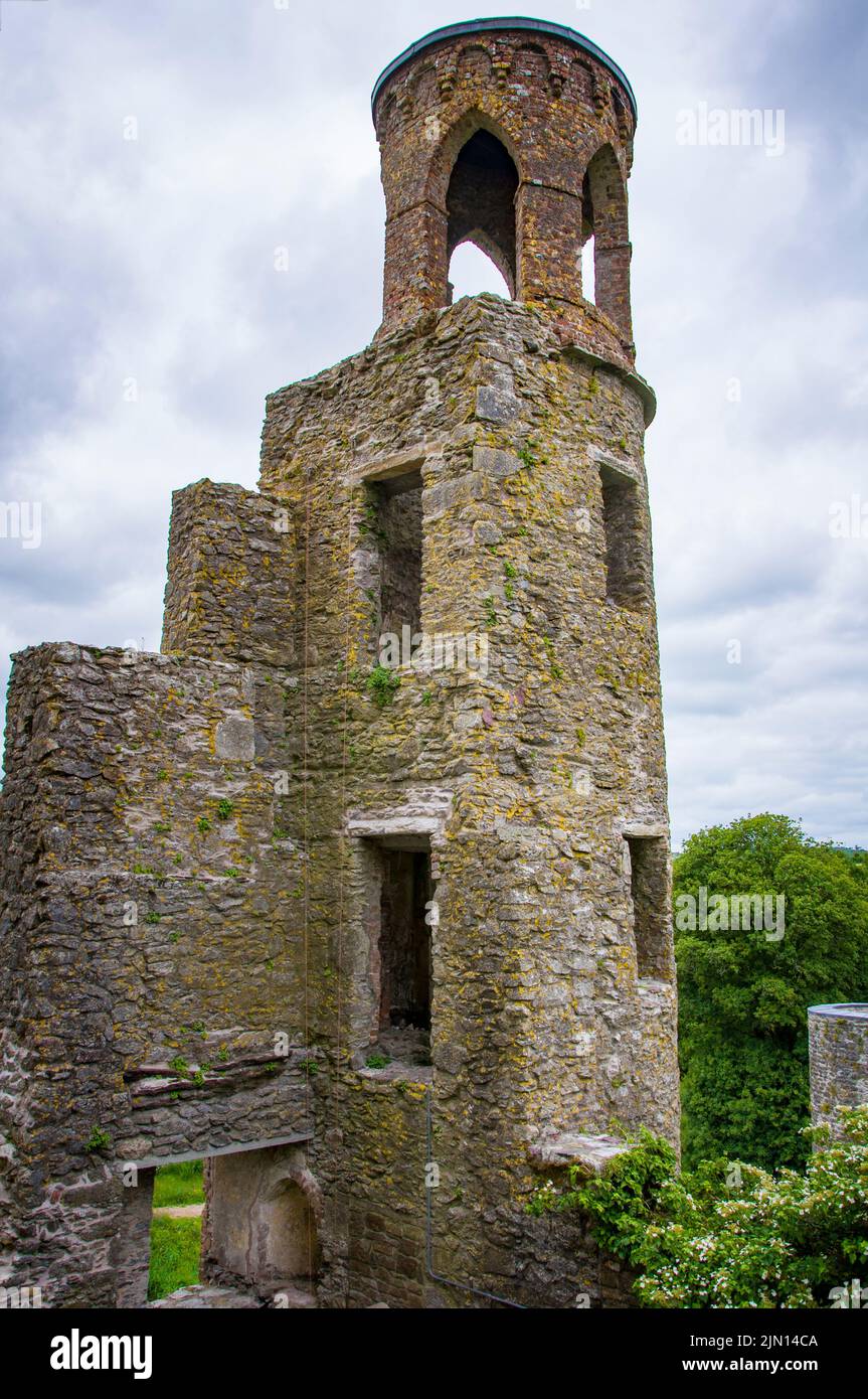 BLARNEY, IRLANDA. 13 DE JUNIO DE 2022. Destruido Blarney Castillo en el condado de Cork. Vistas al jardín. Foto de stock