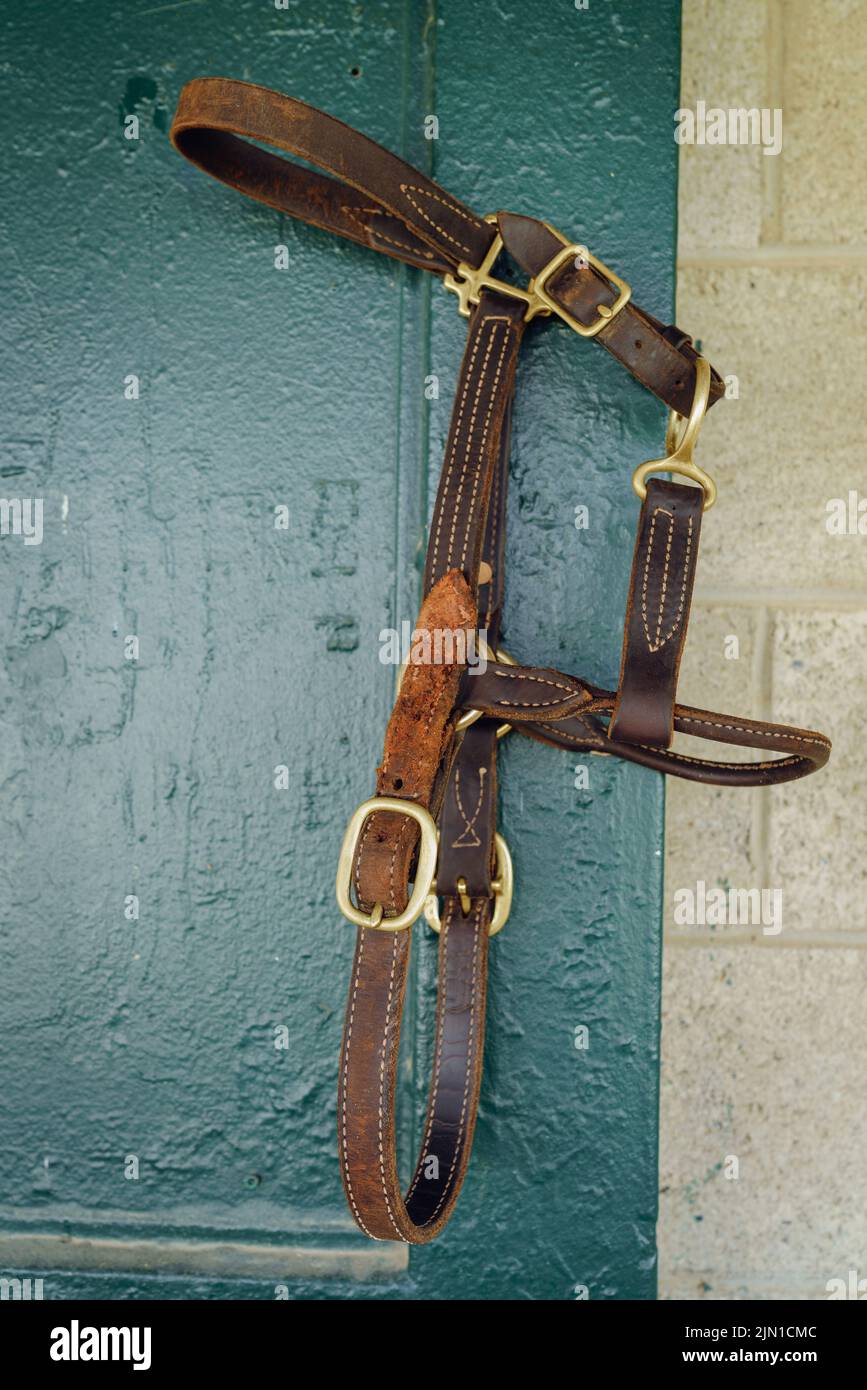 Imagen de primer plano de una brida de cuero o un halter de caballo colgando en una pared estable Foto de stock
