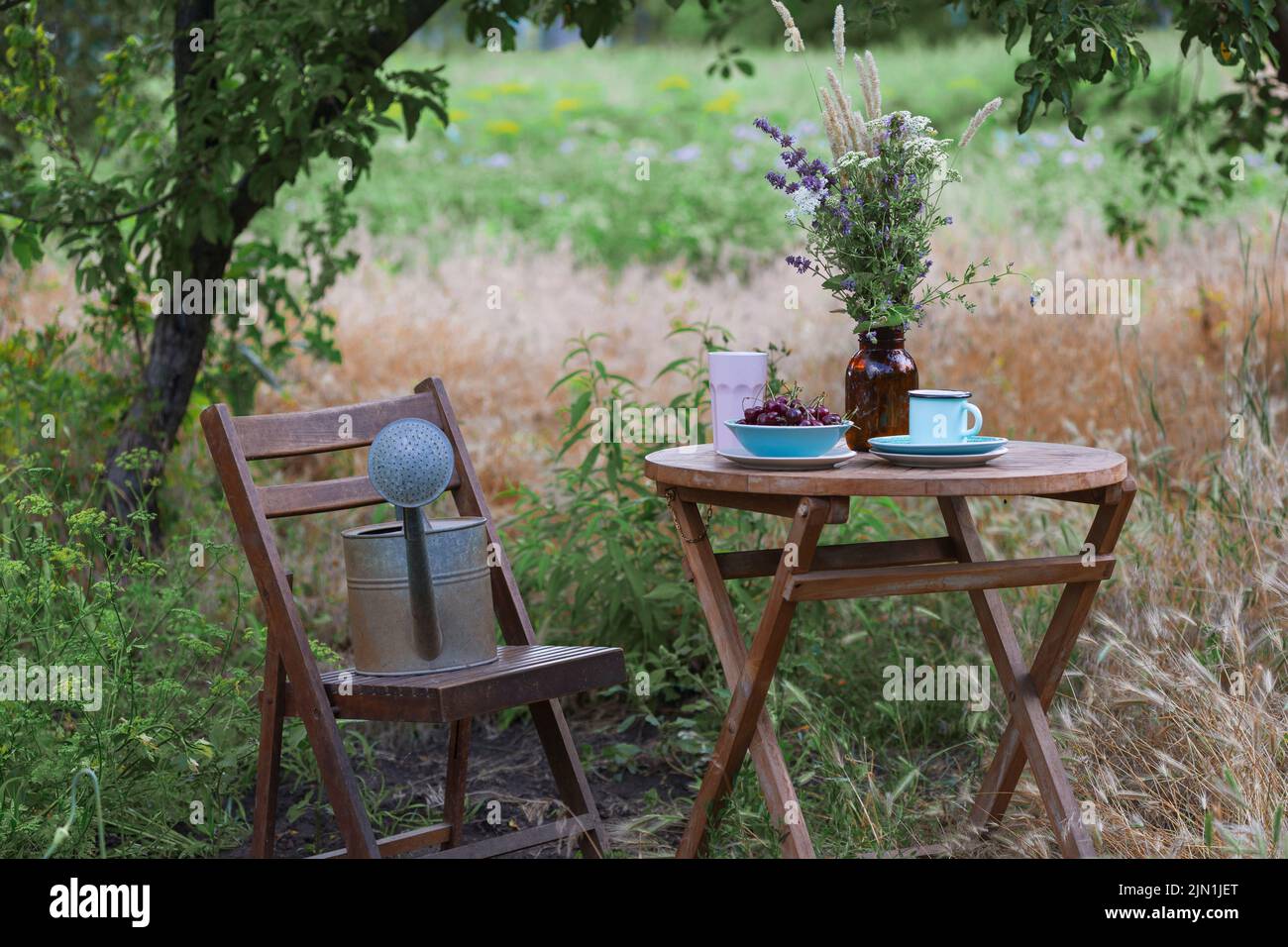 jardín y fiesta de té al estilo campestre. naturalezas muertas - pastel de сherry, tazas, platos y un jarrón con flores silvestres Foto de stock