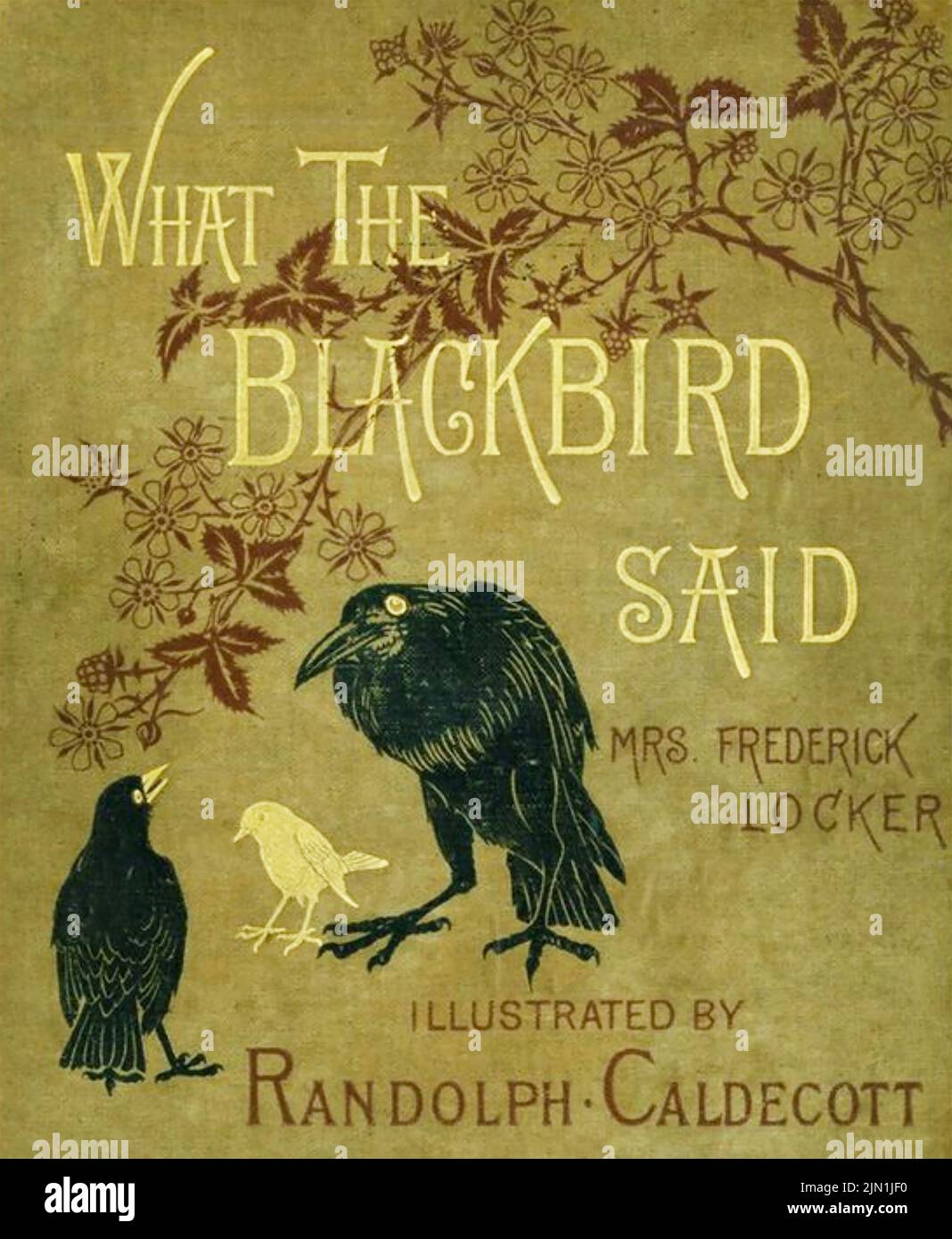 LO QUE EL BLACKBIRD DIJO 1881 novela de la señora Frederick Locker Foto de stock