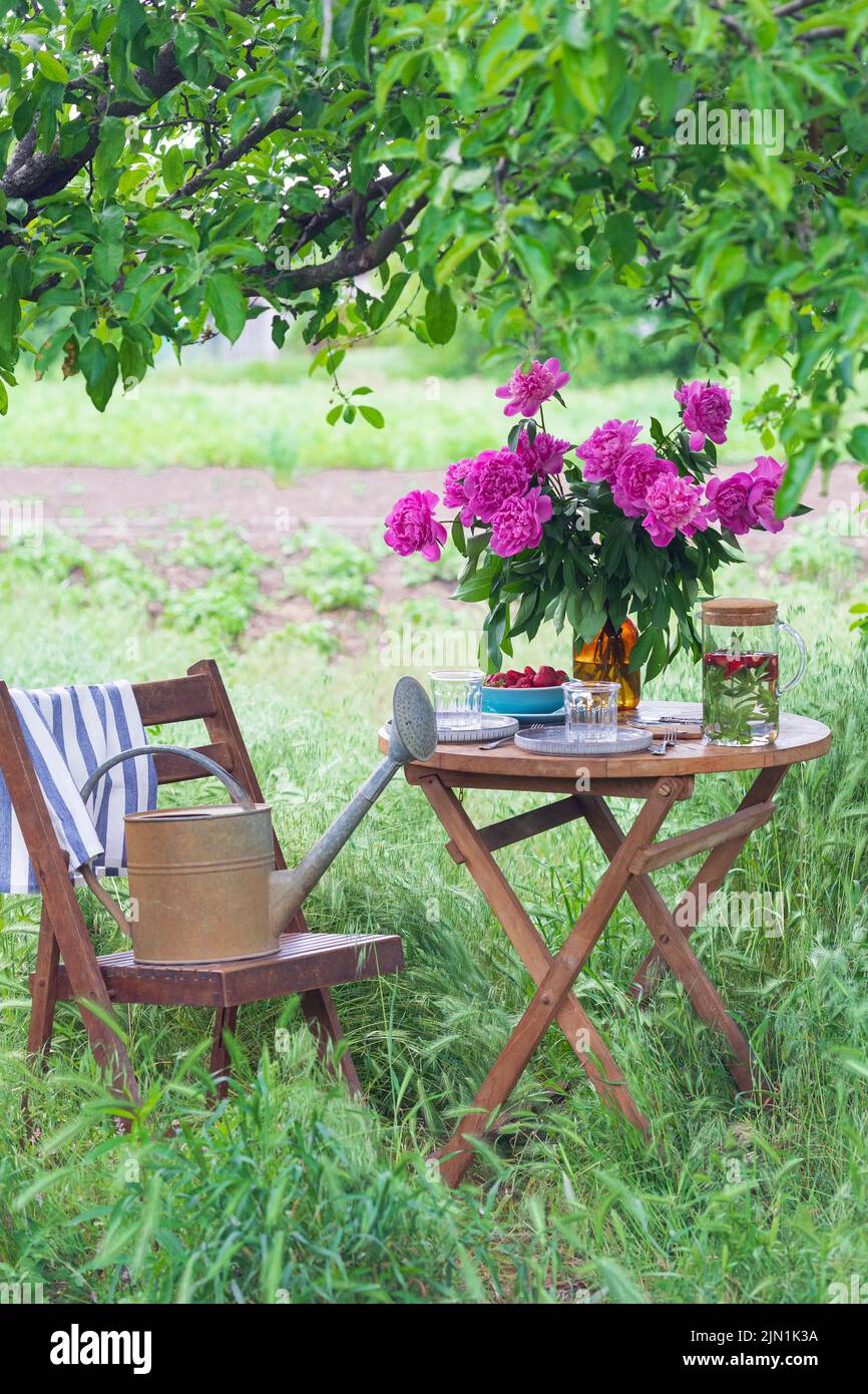 jardín y fiesta de té al estilo campestre. bodegón - tazas, platos y un jarrón con peonías rosadas Foto de stock