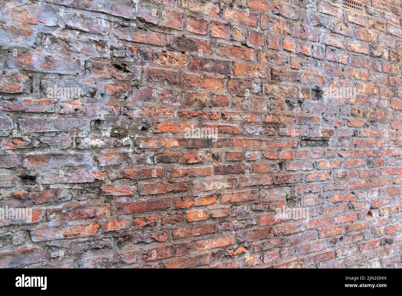 Fondo de textura de cuadro completo de una antigua pared de ladrillo