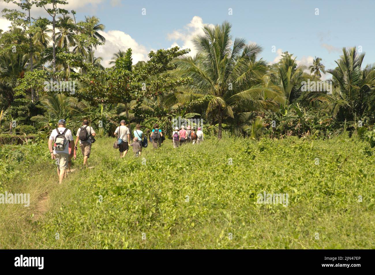 Turistas que caminan por un sendero entre arbustos en la aldea de Horale, Seram Utara Barat, Maluku Tengah, Maluku, Indonesia. Foto de stock