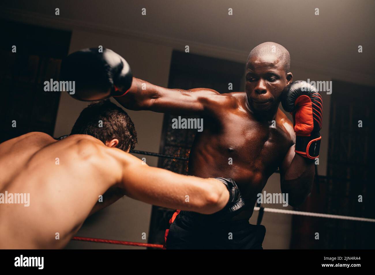 Dos luchadores masculinos disputando un partido en un ring de boxeo. Dos jóvenes boxeadores tirándose unos a otros en un gimnasio. Foto de stock