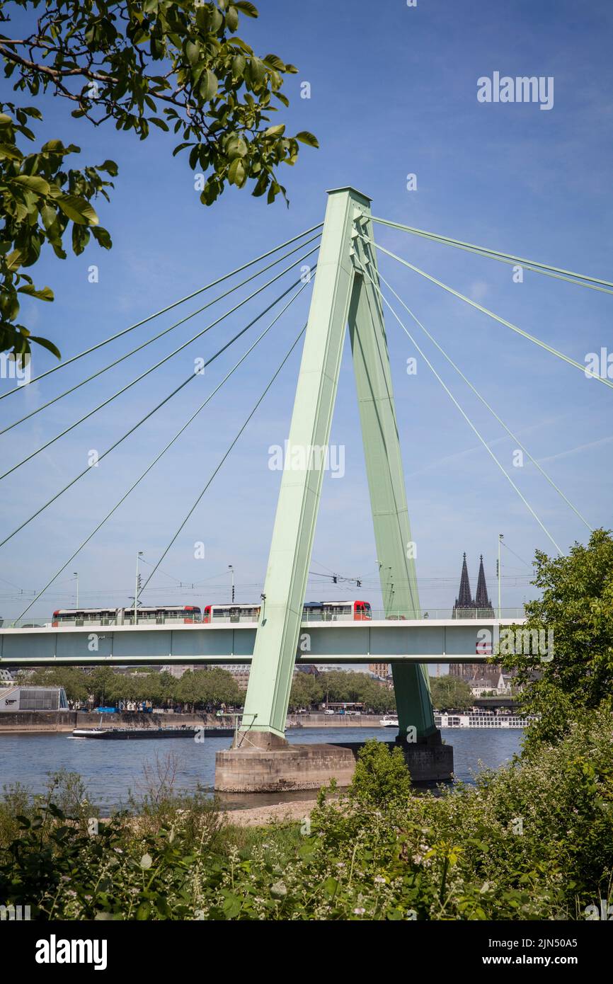 El puente Severins sobre el río Rin, al fondo la catedral, Colonia, Alemania die Severinsbruecke ueber den Rhein, im Hintergrund der Do Foto de stock